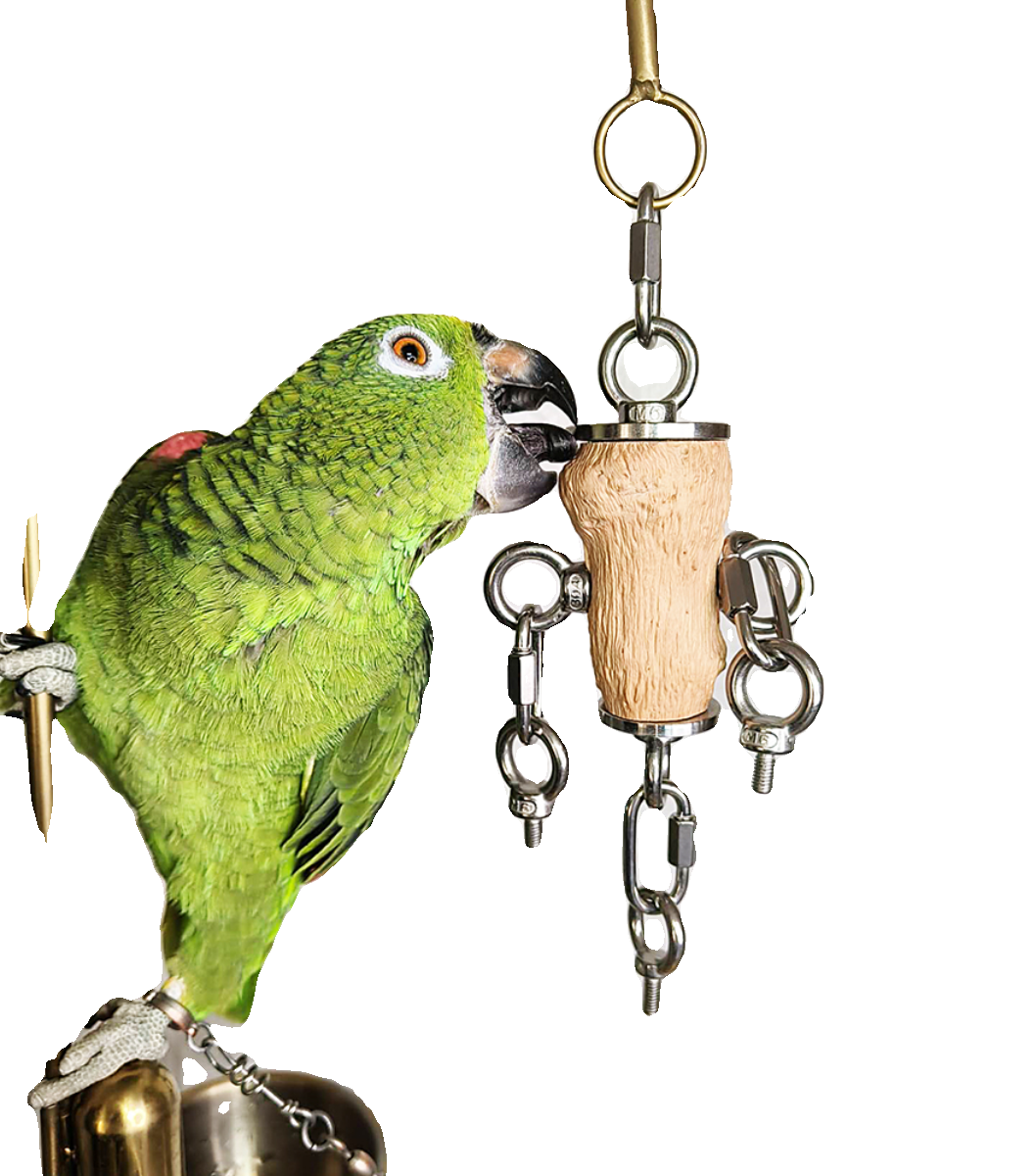 中大型鹦鹉啃咬玩具304不锈钢配超硬野梨木磨嘴磨牙解闷鸟笼挂件,淘宝优惠券,粉丝福利购,淘宝优惠卷
