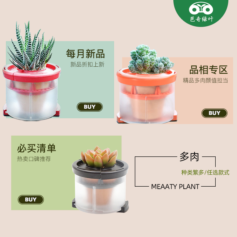 芭奇车载绿植空气净化除甲醛多肉植物盆栽车内去异味花草装饰正品