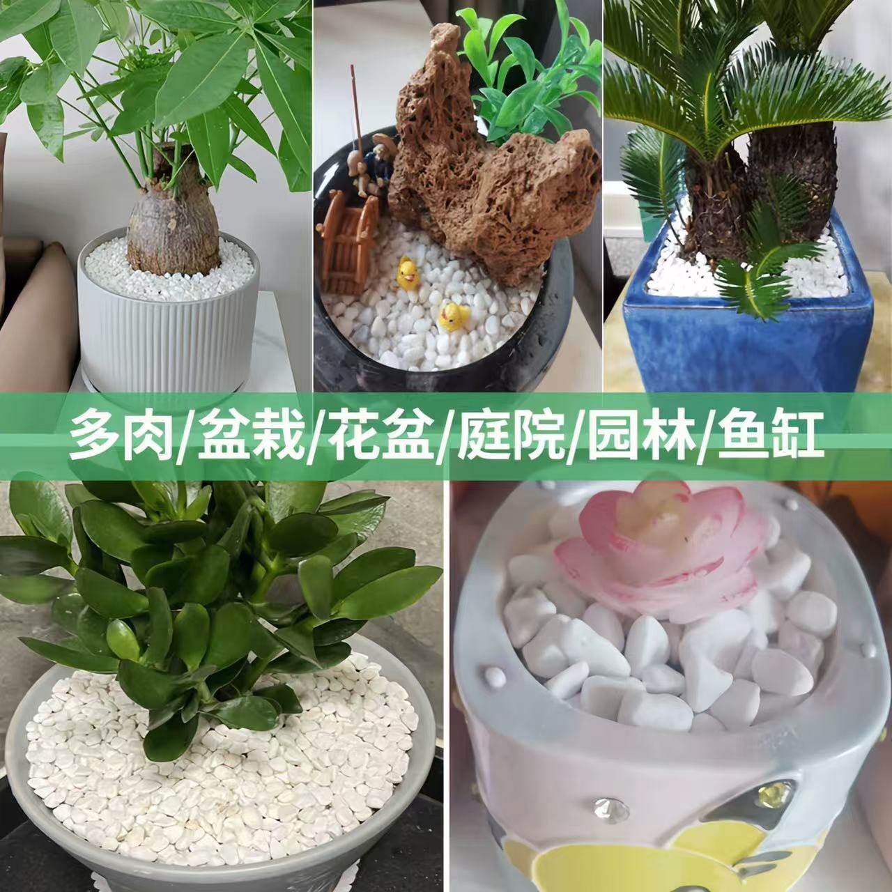 小白石子庭院造景鱼缸鹅卵石原石天然颗粒养花多肉盆栽装饰铺面石,淘宝优惠券,粉丝福利购,淘宝优惠卷