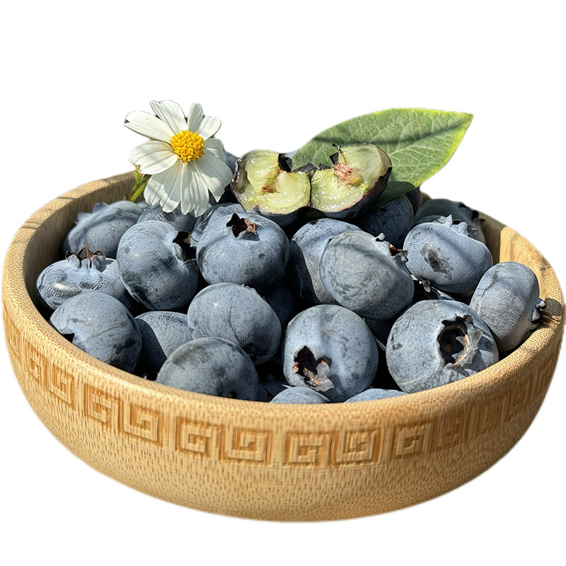 云南蒙自花香蓝莓 高海拔脆甜爆汁 顺丰空运 新鲜直达 500g/桶,淘宝优惠券,粉丝福利购,淘宝优惠卷
