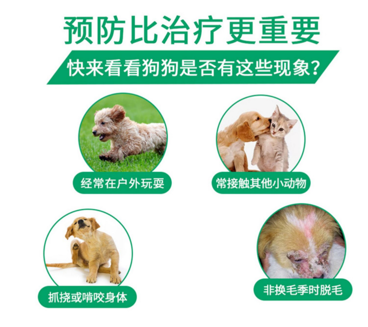 宠怡宠物狗狗猫咪除蚤项圈带铃铛驱虱子跳蚤蜱虫颈圈防蚊虫颈圈 - 图1