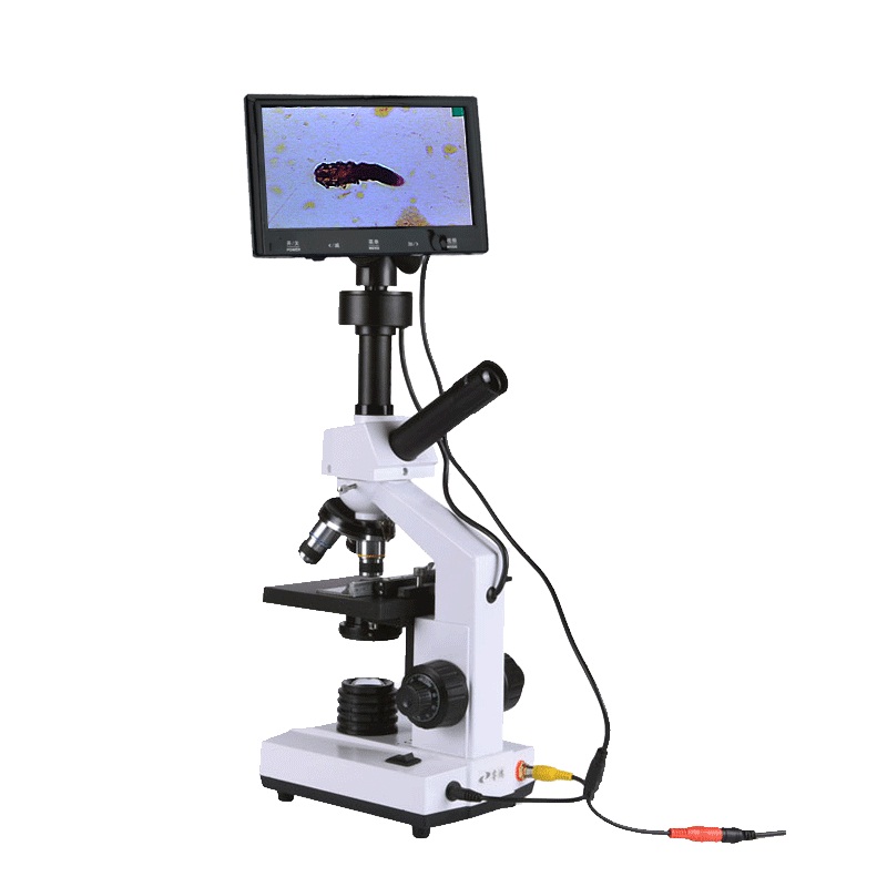 睿鸿检测仪专业生物显微镜显示器螨虫精子养殖精虫益生菌一滴血-图3