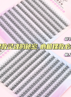 韩国流行燕尾新款自己鱼尾型睫毛