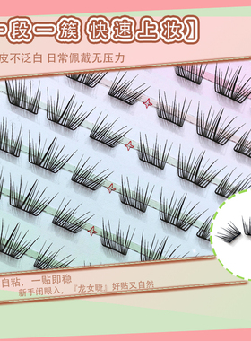 龙女免胶小薄片自然纤长假睫毛