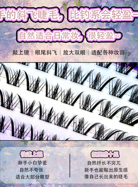 免胶苏狐儿斜飞狐系分段式假睫毛