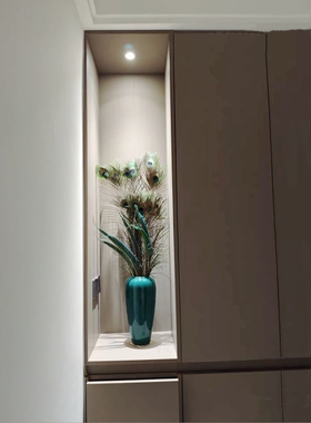 云南养殖孔雀毛真毛孔雀尾羽书房客厅餐厅卧室春节日装饰长短搭配