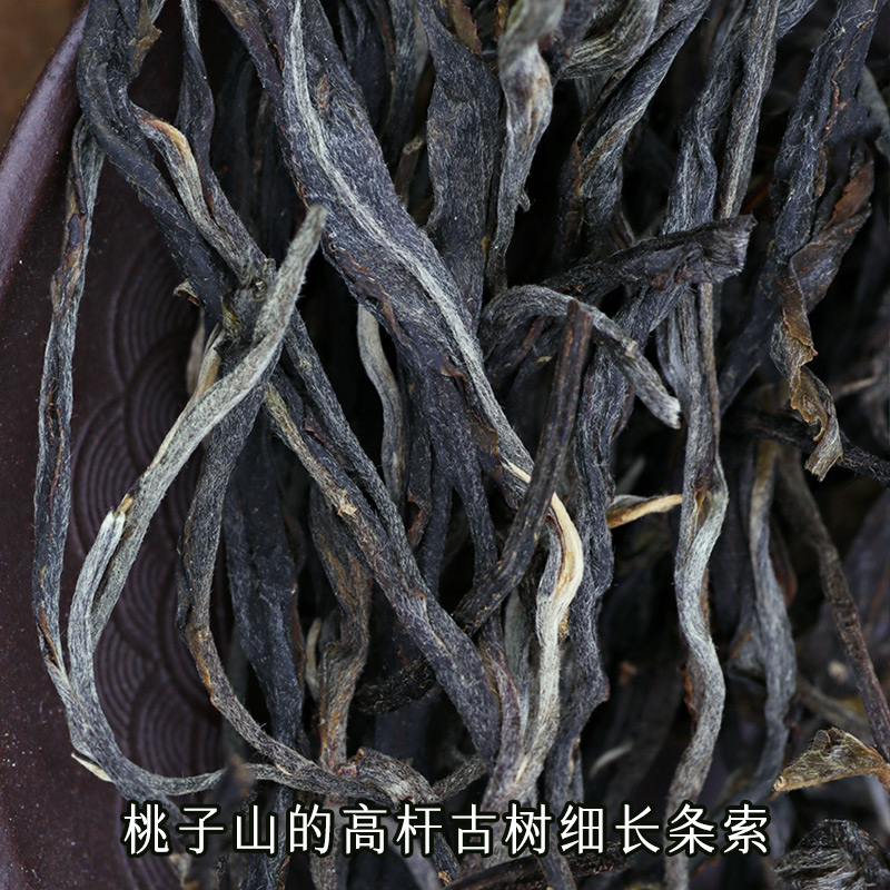 【2024年头春茶】蕴品《橡筋王-桃子山高杆》古树普洱生茶357g - 图1