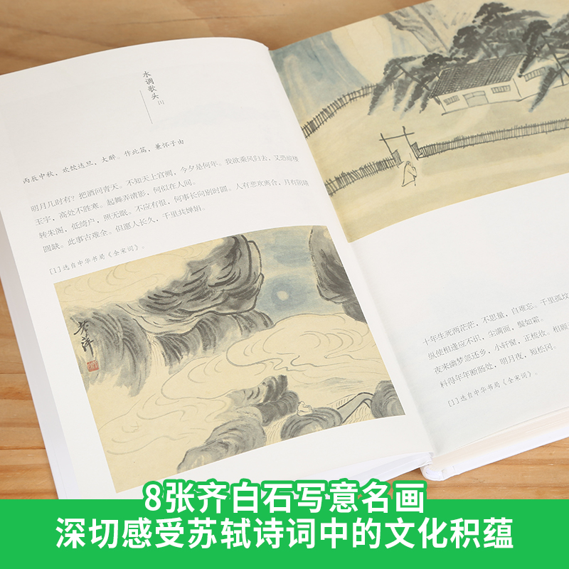 传切配合与空间利用的极致演绎