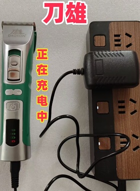 DAOXON/刀雄V11/V12理充电器