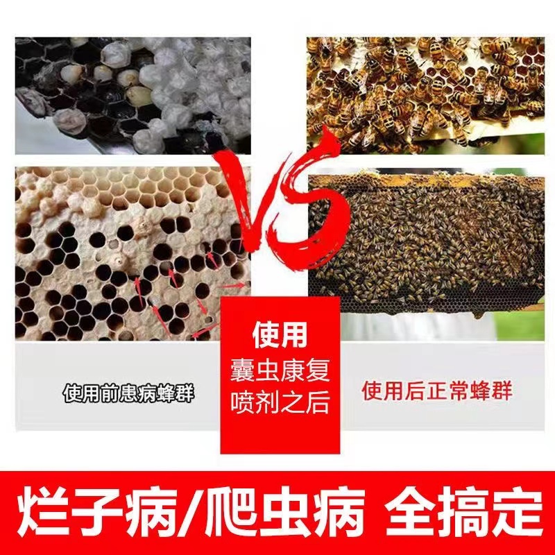 蜜蜂烂子病药囊虫康复喷剂蜂药中蜂烂子灵囊状幼虫中囊抗体烂子康