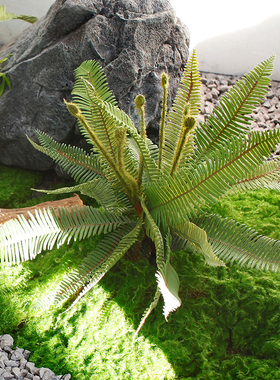 蕨类造景室内装饰仿真植物西西里