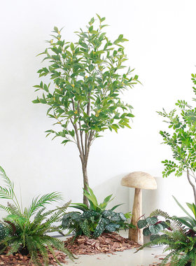 仿真植物造景棉层覆盖松树皮