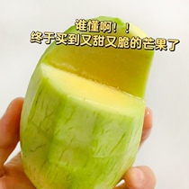 Guangxi Jin Huangang Vietnamese sweetheart Munsheng cooked with two yellow skin sweet and crisp small green mango fresh mango whole box