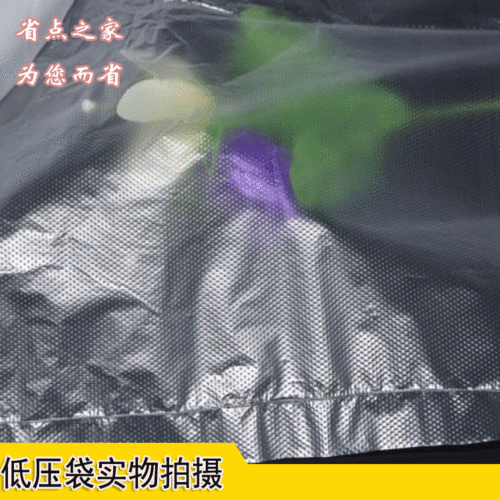 PE低压袋16*30cm PE磨砂袋 防尘袋 防潮袋 装箱袋内袋200个 - 图2