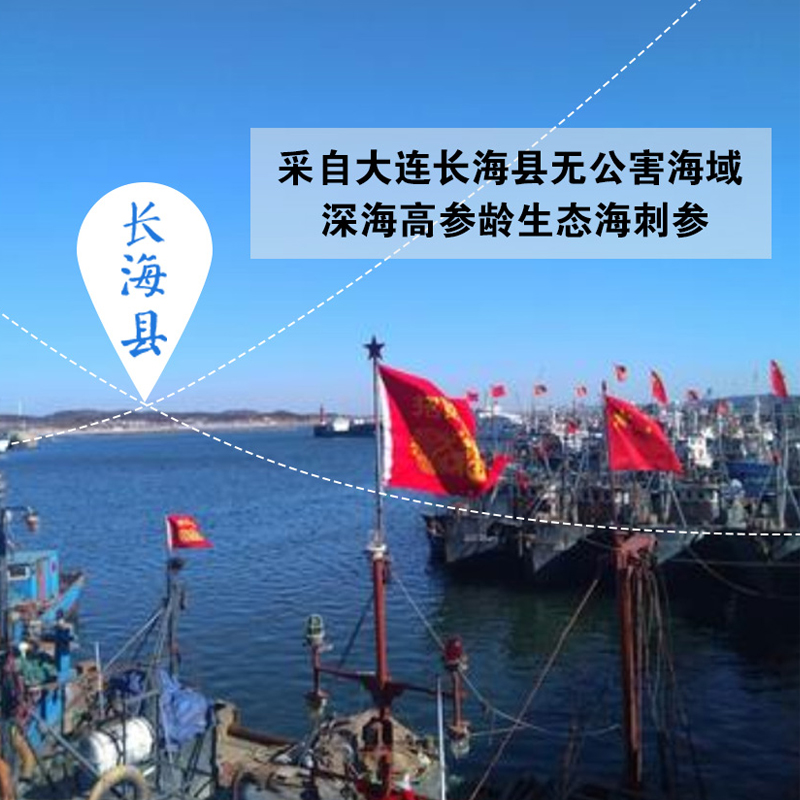 大连东泽海参即食海参5斤 辽刺参单个装50只-75只礼盒装顺丰包邮 - 图1