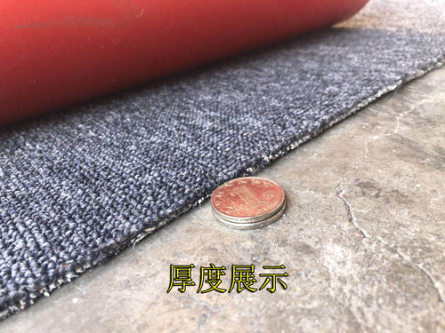 拍照背景地毯直播间通用办公室台球厅工程灰色满铺定制加绒加密毯 - 图2