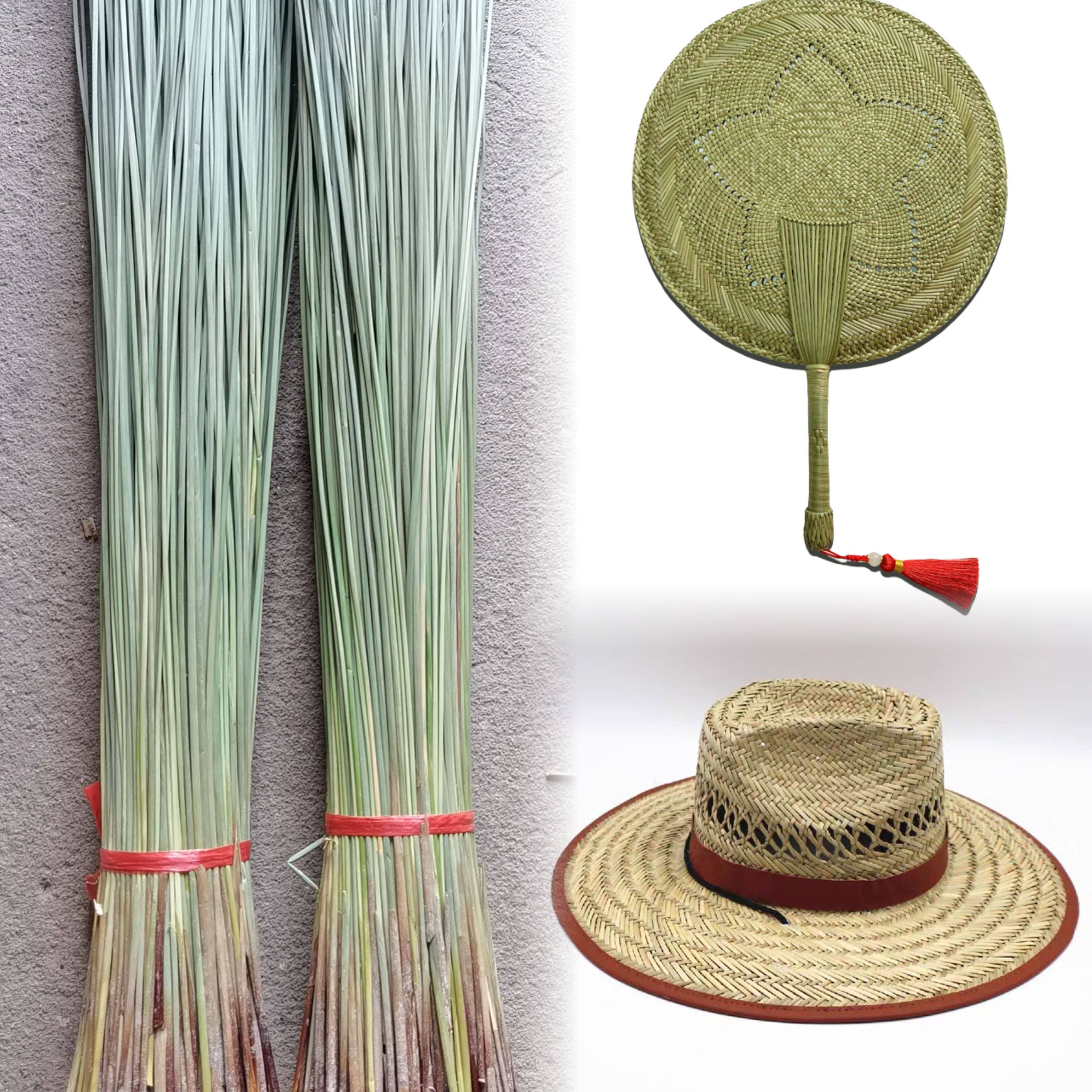 灯芯草DIY草编材料手工趣味教学可编草席草帽扇子蒸笼垫蔺草席草,淘宝优惠券,粉丝福利购,淘宝优惠卷