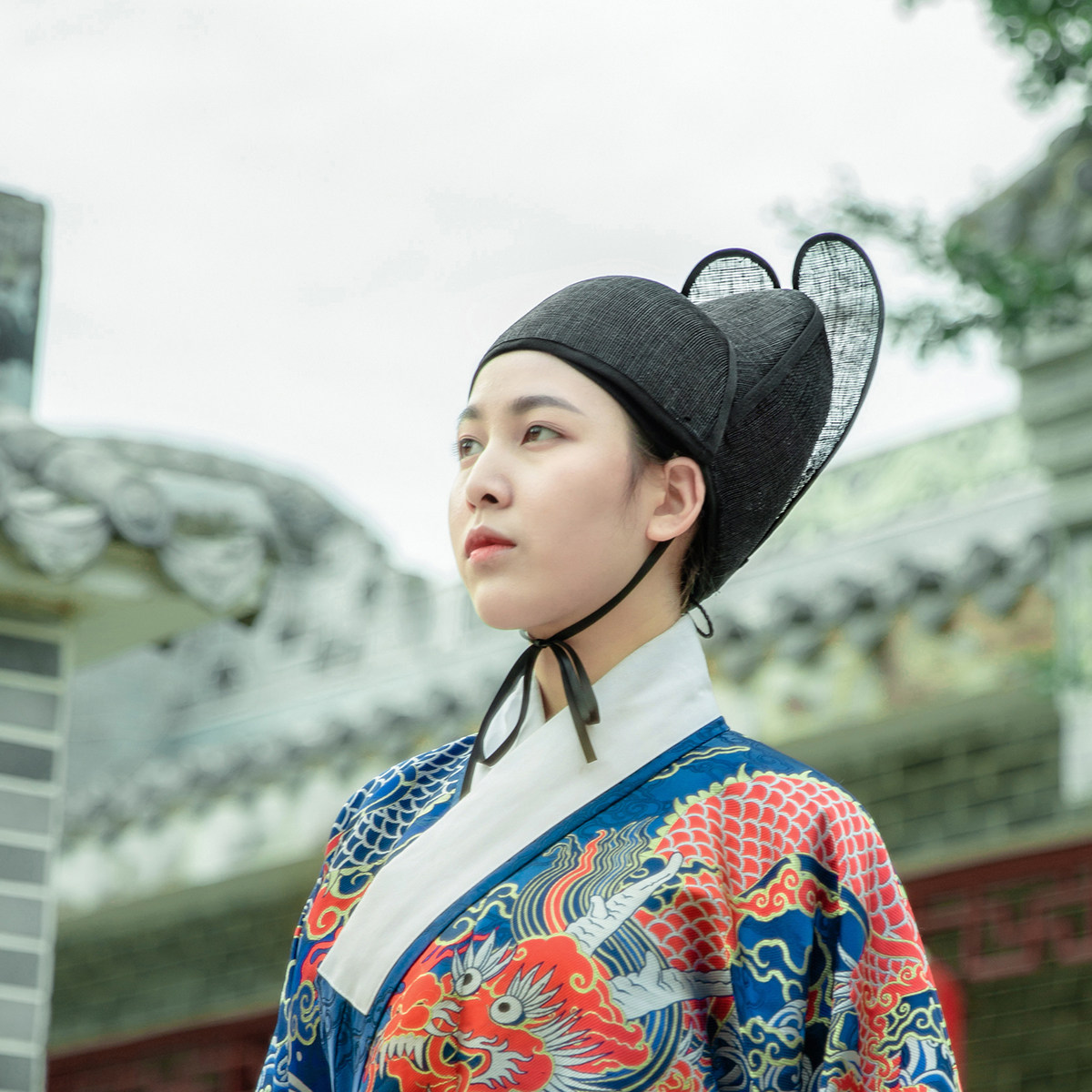 保住乌纱帽,乌纱帽,乌纱帽侧面_大山谷图库