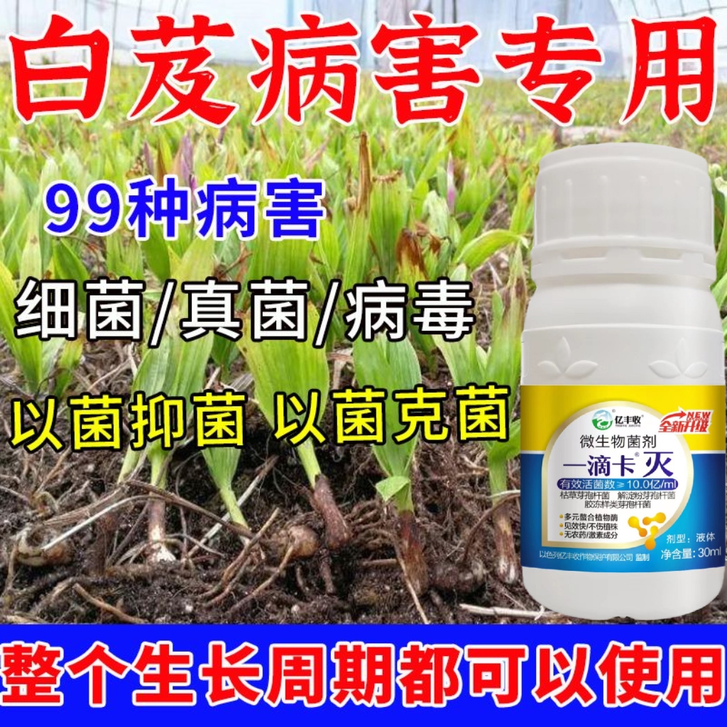 白芨病毒清杀菌病防治白芨防病黑斑软腐病炭疽病灰霉病锈病除剂 - 图0