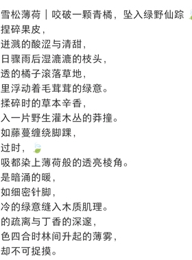 Rose poem 「青橘雪松薄荷」 衣物香薰喷雾
