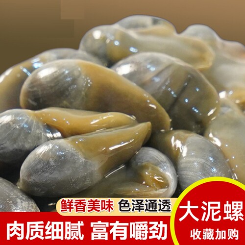 丹东正宇泥螺230g特大无沙即食生腌海鲜醉泥螺罐装礼盒东港特产 - 图1
