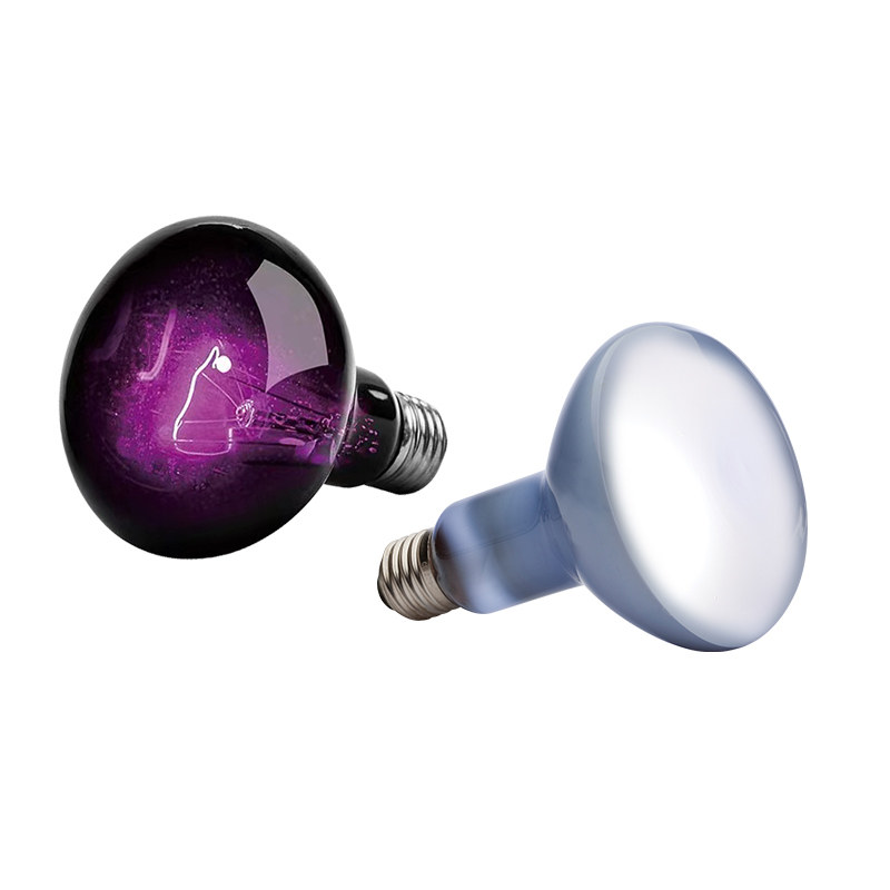 爬宠虫UVAB加热补钙日夜聚光晒背灯红外线乌龟鬃狮蜥蜴取暖保温箱,淘宝优惠券,粉丝福利购,淘宝优惠卷