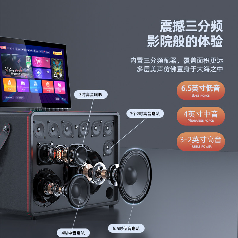  sansui九洲龙腾KTV/卡拉OK音箱