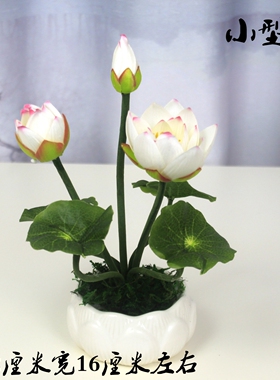 桌面小荷花小盆景摆件装饰花供佛