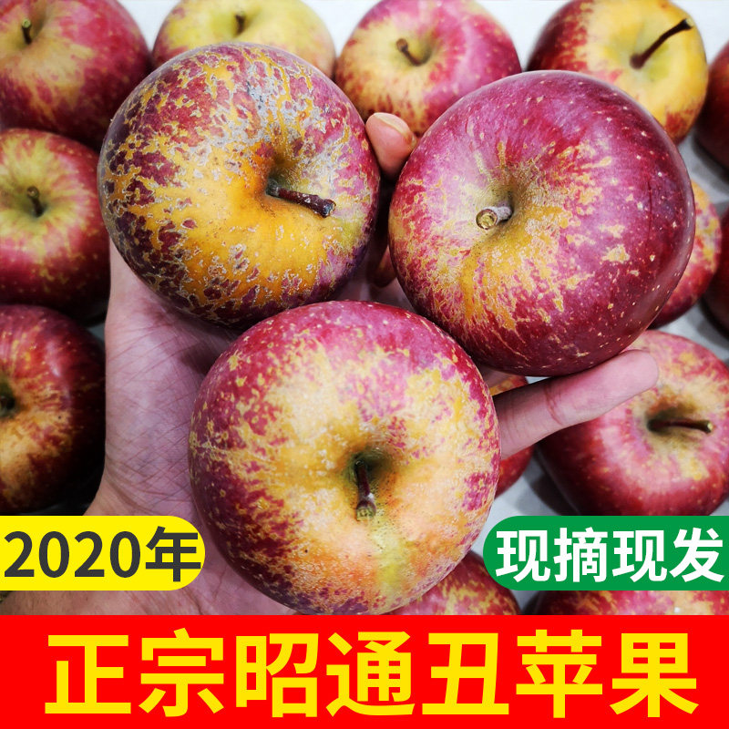 云南昭通苹果新鲜野生丑脆甜水果整箱装10斤当季现摘大凉山冰糖心