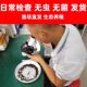 Feed turtles feed fish small fish live breeding live fish arowana live food feed freshwater fish fry grass carp fry crucian carp fry