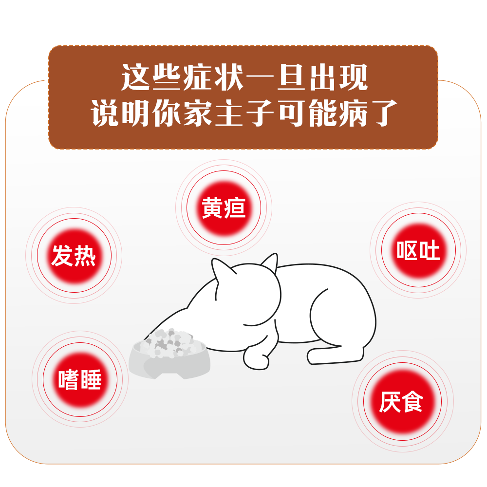 皇家猫粮HF26猫肝脏衰竭胆管肝性炎脑病铜蓄积猫肝脏处方粮,淘宝优惠券,粉丝福利购,淘宝优惠卷