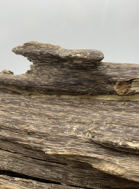 国香沉香海南虫漏大摆件原木料天然保真正品黑油大山料莞香