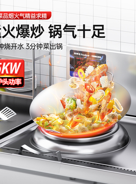 荣事达单双头大锅灶官方品质