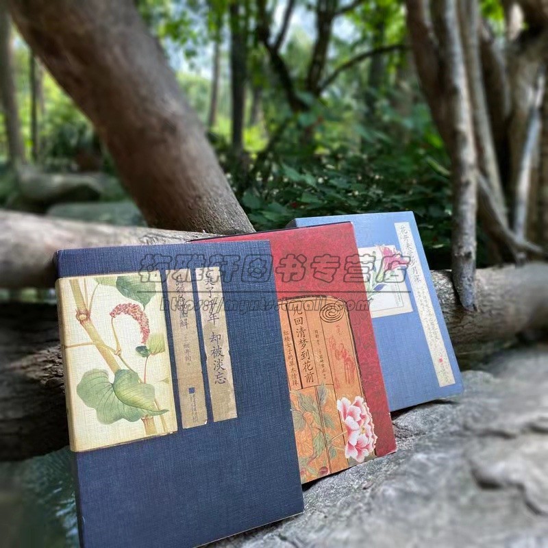 花开未觉岁月深美了千年却被淡忘几回清梦到花前二十四节气绘本书籍正版古风手绘送礼佳品诗经名物图解四时花草逐时新中国画报