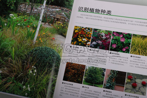 正版 家庭园艺种植百科 别墅庭院私家花园阳台天台露台景观室内绿色植物花卉花园栽培种植入门养花种花蔬菜水果北京美术摄影出版社 - 图1