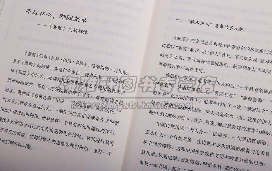 正版诗意语文系列丛书(2册)诗意语文经典篇目文本解读 董一菲主编课堂品味诗意教学领悟语文精髓中学语文教学参考辅导资料育儿书籍