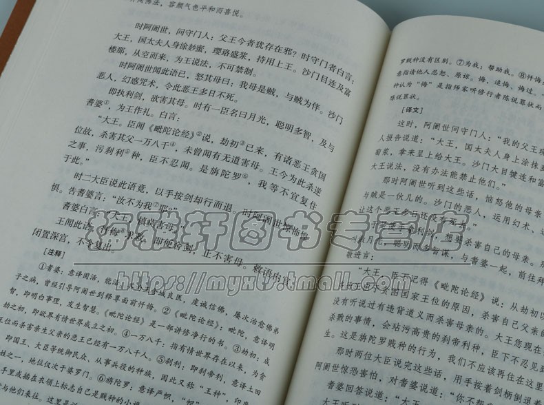 精装佛说阿弥陀经原版释迦牟尼鸠摩罗什译佛学经典观无量寿经净土三经读本要讲白话解大乘佛法经书佛学教原文译文思想书籍 - 图3