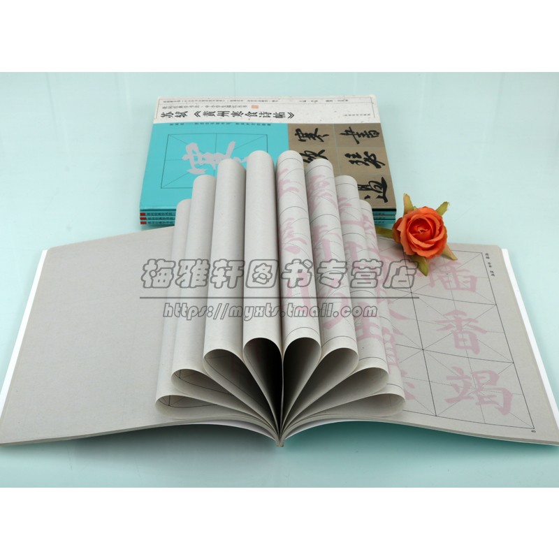 中小学生描红字帖我向经典学书法(全套5册)名家经典碑帖颜真卿多宝塔颜勤礼碑祭侄文稿褚遂良雁塔圣教序书法临摹米字格帖河南美术