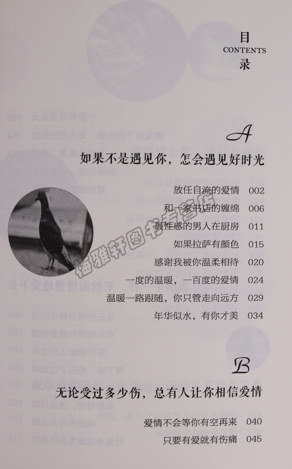 正版 励志（3册）遇见你之后都是好时光你的努力终将成就无可替代的自己心若淡定便是优雅文学散文青春文学小说励志短篇故事集图书