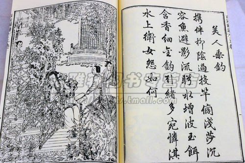 百詠图谱 詠物新词图谱 顾仲方 咏图谱 咏物新词图谱图咏中国古代历代美女美人仕女木刻版画收藏鉴赏宣纸线装书籍珍藏版古籍善本 - 图2