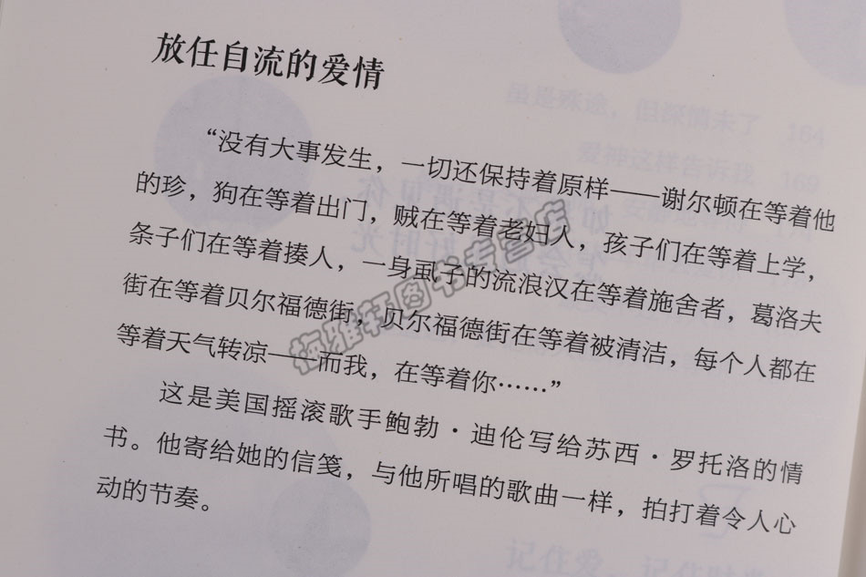 正版 励志（3册）遇见你之后都是好时光你的努力终将成就无可替代的自己心若淡定便是优雅文学散文青春文学小说励志短篇故事集图书