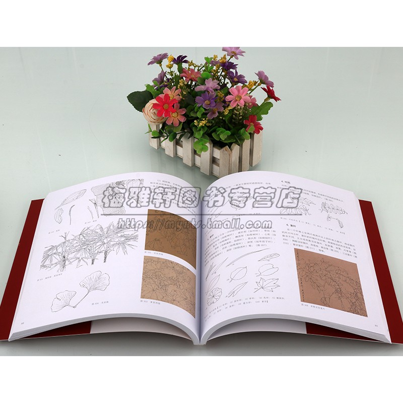 花卉线描写生技法全教程 花卉写生技法工笔画花卉技法白描底稿勾线稿毛笔画谱国画上色花卉画作绘画教学教材书籍福建美术