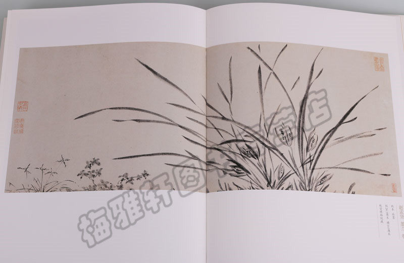 正版 故宫画传籣菊画谱 花卉梅兰竹菊之兰花菊花画范写意工笔白描花鸟墨写意中国画技法基础自学初学如何怎么入门艺术绘画册集书籍