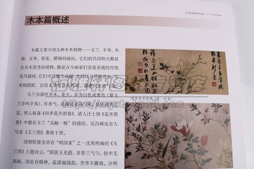 写意木本花卉技法 贾宝珉 中国画水墨玉兰木棉月季茶花技法画法步骤如何画基础入门教程花鸟教学范本画谱画册画集素材绘画艺术书籍 - 图1