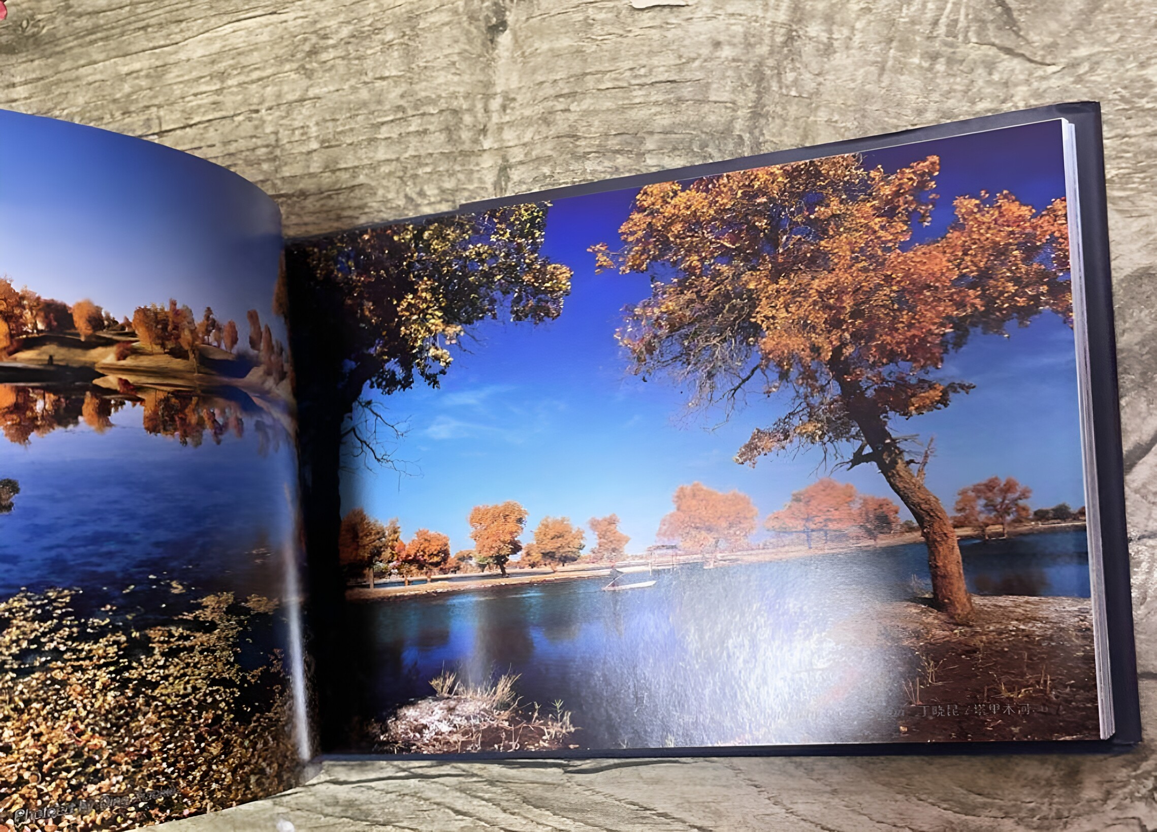 新疆风景摄影作品新疆百景 南北疆天山山脉昆仑山阿勒泰帕米尔高原喀纳斯湖自然风光地理景观画册图册集欣赏析素材鉴赏影艺术书籍