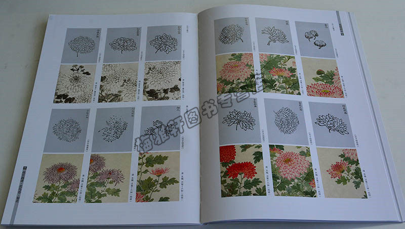 正版 国画菊花技法 名家水墨写意中国山水人物花鸟画技法丛书基础自学初学如何怎么详解析起步教程教材书籍入门到精通画册作品集