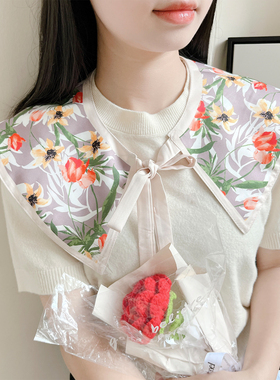 夏季薄款高级感小披肩女士外搭装饰假领子护颈小围脖百搭丝巾围巾
