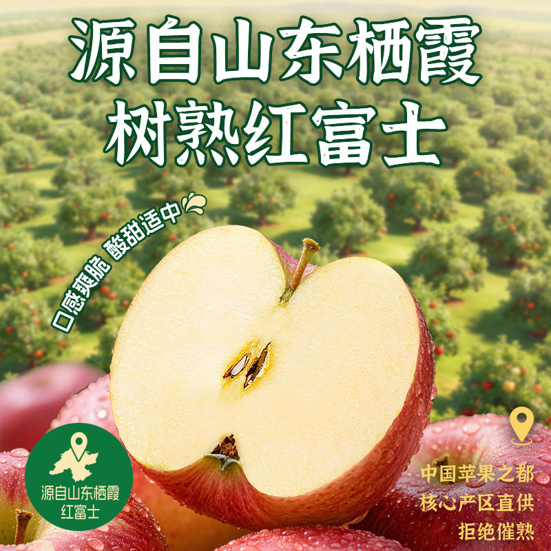 图 2