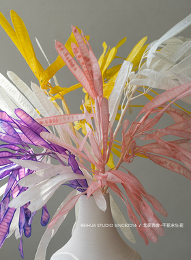 永生花扁豆花束豆荚诧寂干花花材