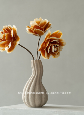 帝王木片干花北欧风永生花干花